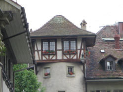Sicht auf den Hochsitz
am Waisenhausplatz Sicht auf den Hochsitz am
Waisenhausplatz