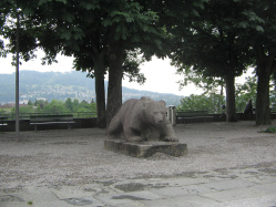Casinoplatz, Bär mit Panorama Casinoplatz, Bär mit Panorama