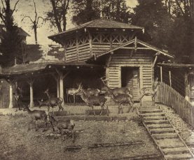 Bern, Hirschenpark an der Engehalde um
                          1900