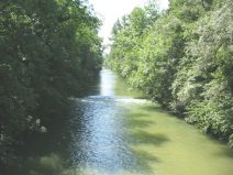 M�nchenstein / Muttenz: Die verschmutzte
                        Birs