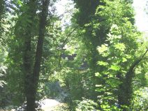 M�nchenstein: Alte Birsbr�cke, die
                        Holzbr�cke 03