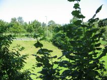 M�nchenstein: Der Autobahnzubringer der H18
                        vom Gymnasiumsgel�nde aus gesehen: Es besteht
                        kein Schallschutz...