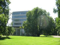 M�nchenstein: Gymnasium als Glasturm, der
                        sch�ne Baum davor ist Erinnerung an eine durch
                        korrupte Politiker und Industrielle zerst�rte
                        Landschaft