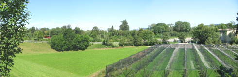 M�nchenstein, Gymnasiumsgel�nde:
                        Autobahnzubringer zur H18, mit Fr�chtekulturen
                        direkt am Zubringer, Panoramafoto