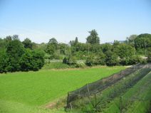 M�nchenstein, Gymnasiumsgel�nde:
                        Autobahnzubringer zur H18 02, mit
                        Fr�chtekulturen direkt am Zubringer