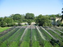 M�nchenstein, Gymnasiumsgel�nde:
                        Autobahnzubringer zur H18 03, mit
                        Fr�chtekulturen direkt am Zubringer