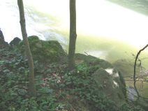 M�nchenstein: Autobahn
                        ("Hochleistungsstrasse") H18 zerst�rt
                        den Erholungsraum des Birsufers, lauschiges
                        Pl�tzchen ist kein lauschiges Pl�tzchen mehr