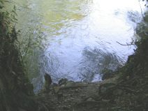 M�nchenstein: Rechtes Birsufer, wieder ist
                        ein lauschiges Pl�tzchen durch eine Autobahn
                        zerst�rt