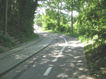 Muttenz, Fr�scheneckrainweg, der Waldrand
                        wurde f�r den Weg vernichtet