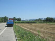 Pratteln, Rheinstrasse mit freiem Feld