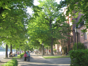 Basel, Unterer Rheinweg,
                                Rheinpromenade Spielplatz 01, Sicht aus
                                der Ferne
