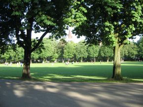 Sch�tzenmattpark, zwischen den B�umen schaut
                      die Pauluskirche hervor