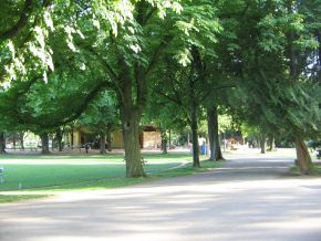Sch�tzenmattpark, Allee mit Restaurant