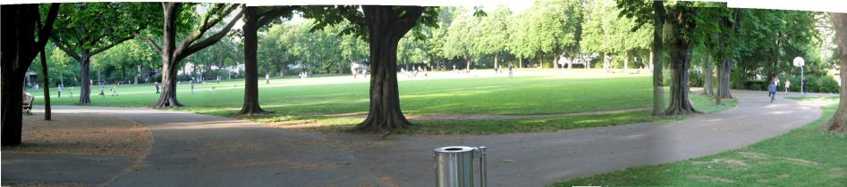 Basel, Sch�tzenmatte, die Spielwiese mit
                        der Baumallee, Panoramafoto