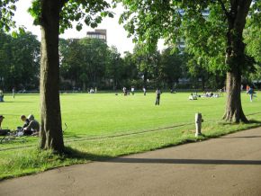 Sch�tzenmattpark, Spielwiese und Liegewiese
                      01