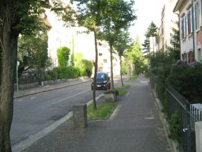 Basel, Birsigstrasse: Baumrosetten in schrg
                      gelegten Pflastersteinen