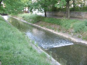 Birsig-Schwelle mit Blasenwasser. Der Birsig
                      ist verschmutzt