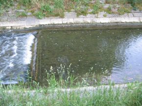 Birsig-Schwelle mit Blasenwasser,
                      Nahaufnahme