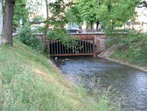 Das Gatter des Birsig, Nahaufnahme