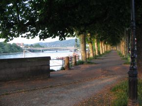 Basel, Sankt-Alban-Rheinweg, Allee und
                        Sicht auf die Schwarzwaldbr�cke