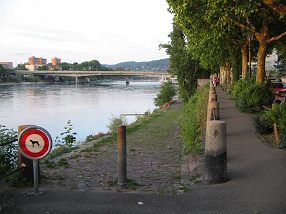Basel, Sankt-Alban-Rheinweg, Sicht auf
                        Schwarzwaldbr�cke