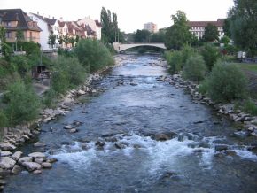 Basel, Birsk�pfli, Sicht vom Birskopfsteg
                        aus die Birs aufw�rts ohne Br�ckengel�nder