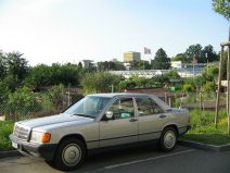 FCB-Terror 006: FCB-Fahne im Schrebergarten
                        an der Bungestrasse01