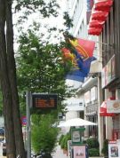 FCB-Terror 008: FCB-Fahnen an der
                        Steinentorstrasse 01