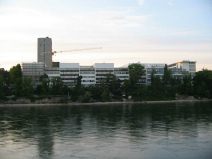 Chemie-Terror 003: Sicht von
                        St.-Alban-Rheinweg auf Roche