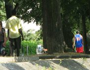 Drogen-Terror in Basel, Unterer Rheinweg:
                        Zwei Drogenneger spazieren in ca. 100 m Abstand