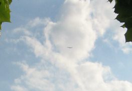 Flugzeug-Terror11: Position Unterer
                        Rheinweg. Sicht auf Flugzeug mit geradem Start
                        �ber dem Gundeliquartier, 22.7.2007, 18:24 Uhr