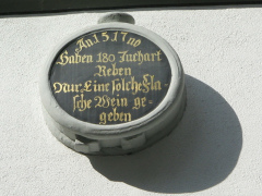 St. Gallen: Spisergasse 11, Textmedaillon