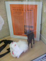 Winterthur: Steinberggasse, Schaufenster
                        des Ladens Apa Kuntur (www.alpaca.ch)