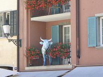 Zrich Hirschenplatz, da steht eine Kuh auf
                        einem Balkon des Hotels Adler