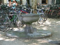 Zurich, Stadelhoferplatz (Stadelhofen
                        Square), little fountain where also pigeons are
                        picking water