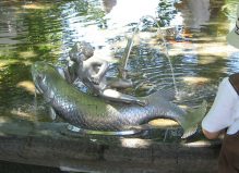 Zurich, Bellevue Fountain,
                                sculpture of a fish with a boy, taken
                                from the front