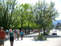 Zurich General-Guisan-Quai (General
                                Guisan Quay), the large sidewalk