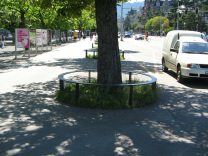 Zurich General-Guisan-Quai (General Guisan
                        Quay), borders with trees