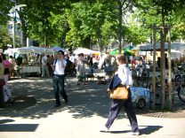 Zurich, B�rkliplatz (Buerkli Square), there
                        is flee market on Saturdays