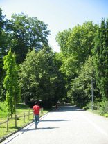 Zurich, Platzspitz-Park (Pointed Square
                        Park), path