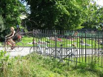 Zurich, sun meadow at Letten