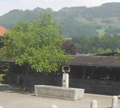 Brunnen in Sarnen 01 Zoom Brunnen
in Sarnen 01 Zoom