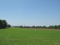 Pratteln: Netzibodenstrasse, ARA Rhein,
                        Sicht auf das Feld mit den Kaminen der
                        Giftfabriken von Schweizerhalle am Horizont