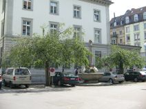 St. Gallen: Schmiedgasse, Baumgruppe mit
                        Brunnen