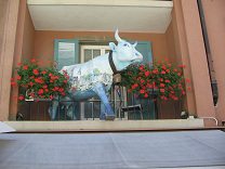 Hotel Adler, die Kuh auf dem Balkon von einer
                weiteren Perspektive