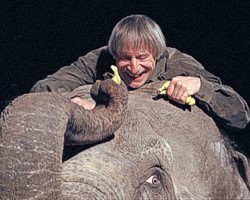 Dimitri on an elephant giving
                        bananas