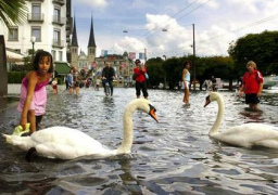 Hochwasser 2005, in
                                    Luzern schwimmen Schwne in der
                                    Stadt