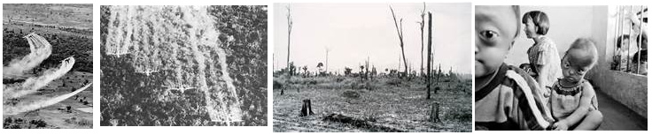 Spr�haktionen mit
                          Agent Orange, entlaubter Wald, Gensch�den bei
                          der Bev�lkerung