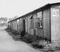 Bergen-Belsen 1945