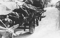 KZ
                            Ebensee Leichenwagen 1945